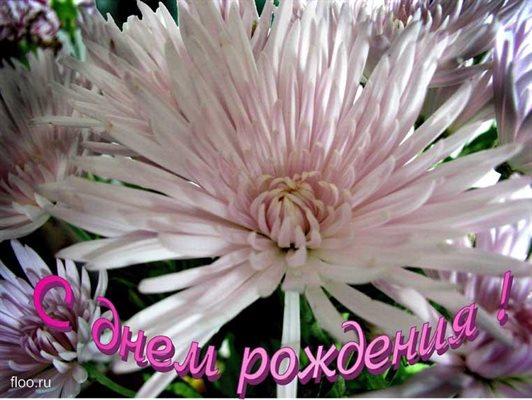 Пусть каждый день дарит счастье