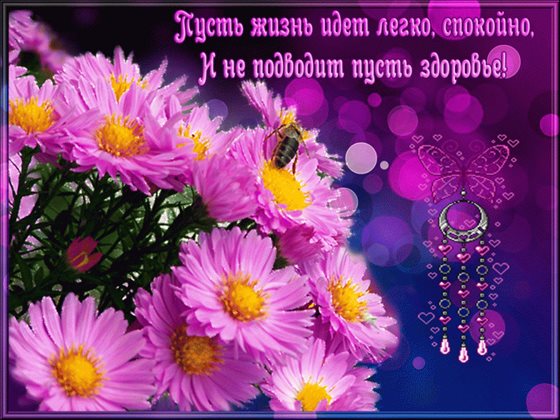 Подарок в виде открытки