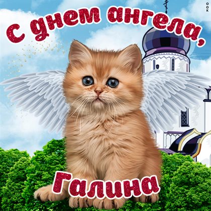 Немного волшебства в ваш день